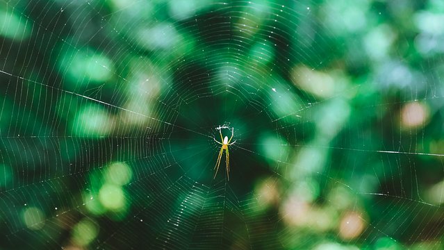 七月日本大阪,七月的日本大阪