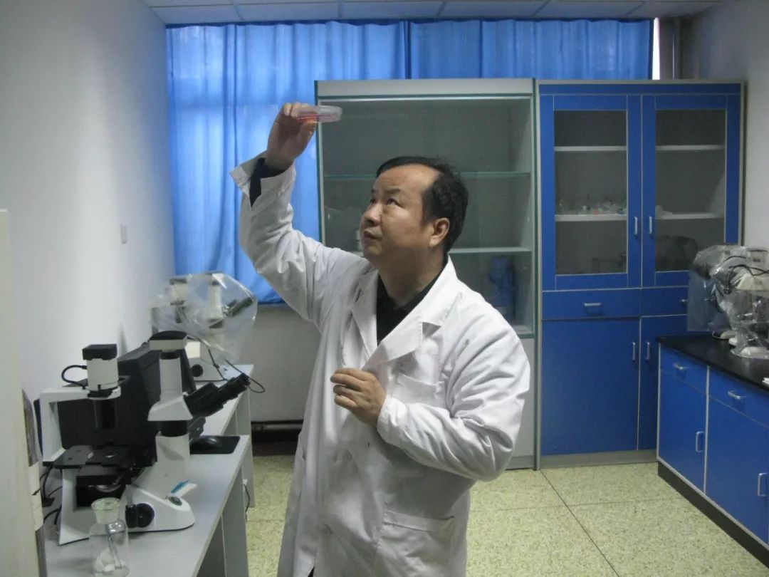 爱国热血青年为你点赞,弘扬爱国奋斗精神建功新时代总结