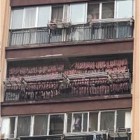 「117早安！九江」九江土壕阳台惊呆路人；打完麻药医生玩失踪；女员工街头集体跪地爬行；试卷现“鸡汤”提示语