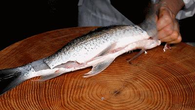 被它扎一下竟住院了！紧急提醒：严重可致死，苏州人准备年货要当心！