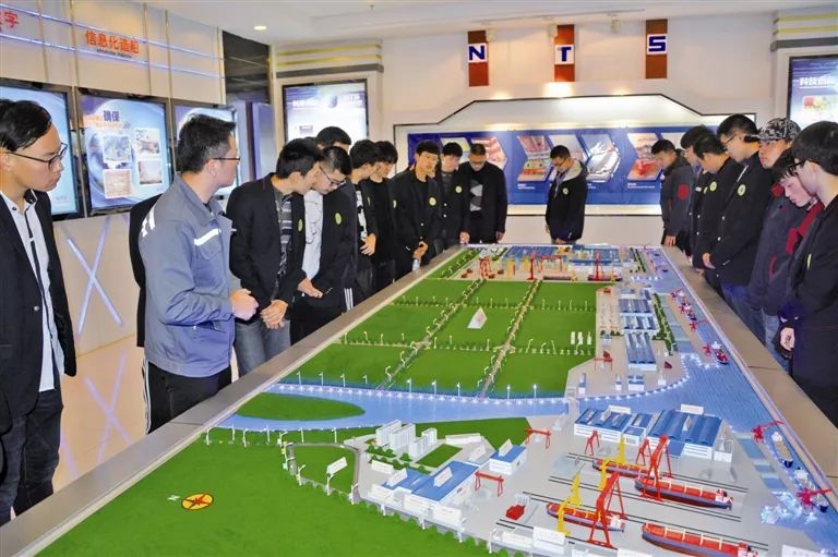 获奖连连！靖江这几所学校特别牛……