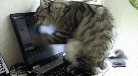 显示器垫高影响视力,显示器垫高容易得干眼症