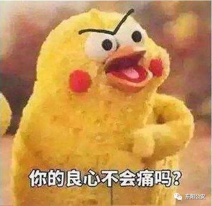 浙江东阳偷手机后续,东阳小偷偷东西真实视频