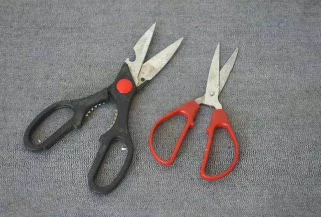 剪刀生锈怎么办不用白醋或小苏打,剪刀生锈解决小技巧图片