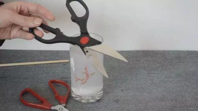 剪刀生锈怎么办不用白醋或小苏打,剪刀生锈解决小技巧图片
