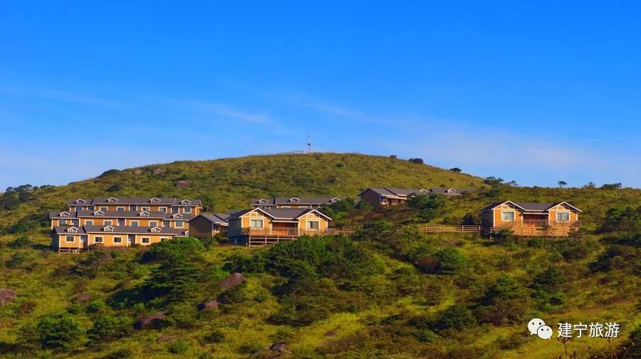 集装箱式民宿推荐,福建特色树屋民宿度假屋结构