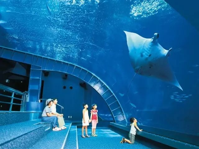 日本夏威夷樱花海岛,在日本最晚看到樱花开放的岛屿