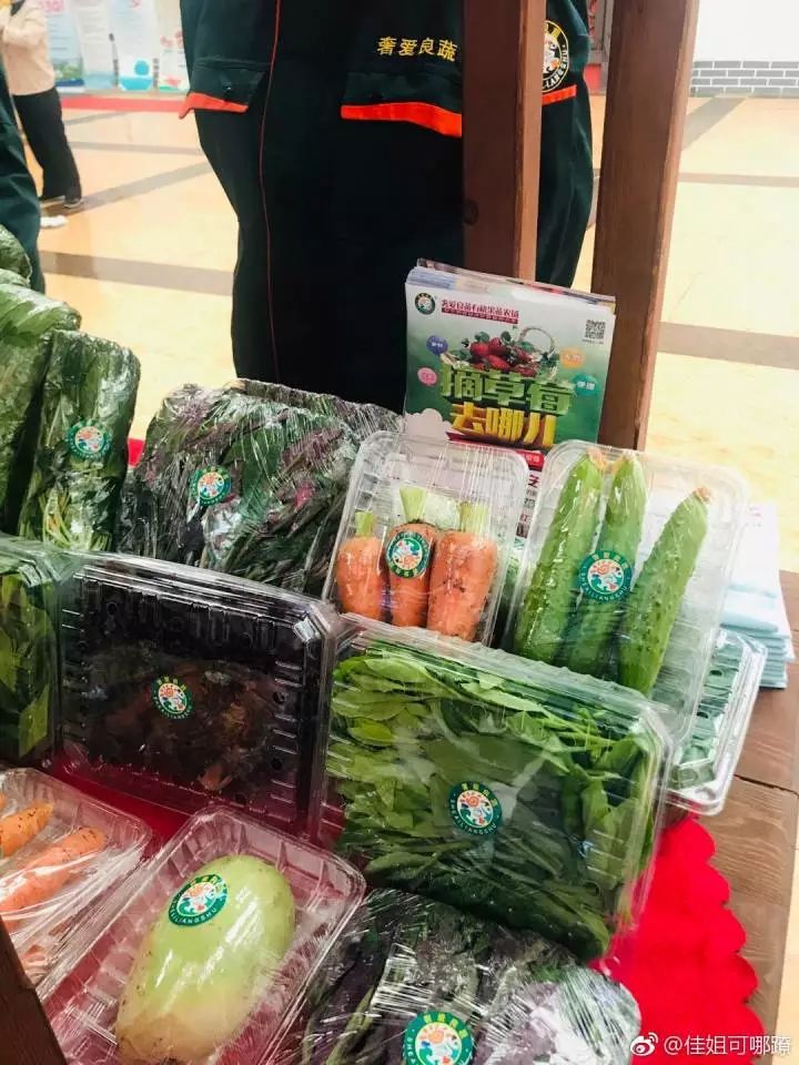 双阳市温泉,双阳温泉玩乐