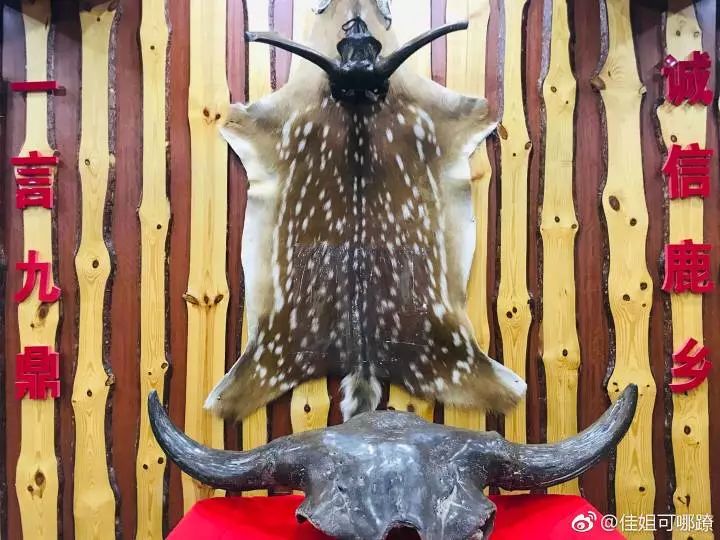 双阳市温泉,双阳温泉玩乐