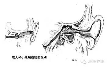 五岁孩子发烧感冒后脸上起小红点,5岁男孩发烧后耳朵里面红肿