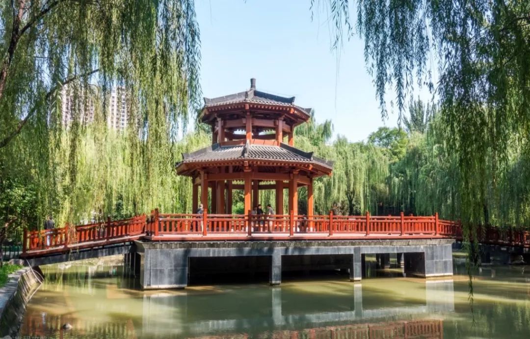 最美的西安公园图片,西安动物园旅游手绘示意图