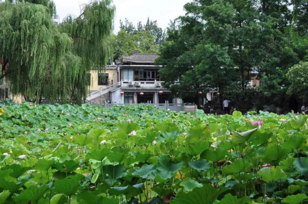 最美的西安公园图片,西安动物园旅游手绘示意图