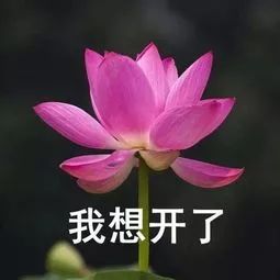 沟通代沟or躲避唠叨，湘大人的父母都是「圈外人」吗？