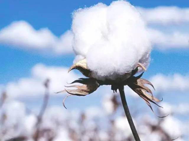 神仙级“空调床单”！别人睡两个夏天了你居然还没拥有？！