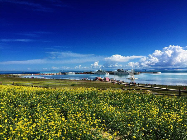 到青海湖旅游关注事项,去青海湖需要关注什么