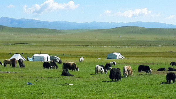 到青海湖旅游关注事项,去青海湖需要关注什么