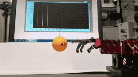 豌豆公主来源于哪个童话故事,传说中的豌豆公主