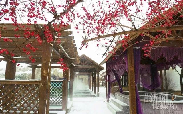 冬天去鲅鱼圈泡温泉,鲅鱼圈泡温泉住宿攻略