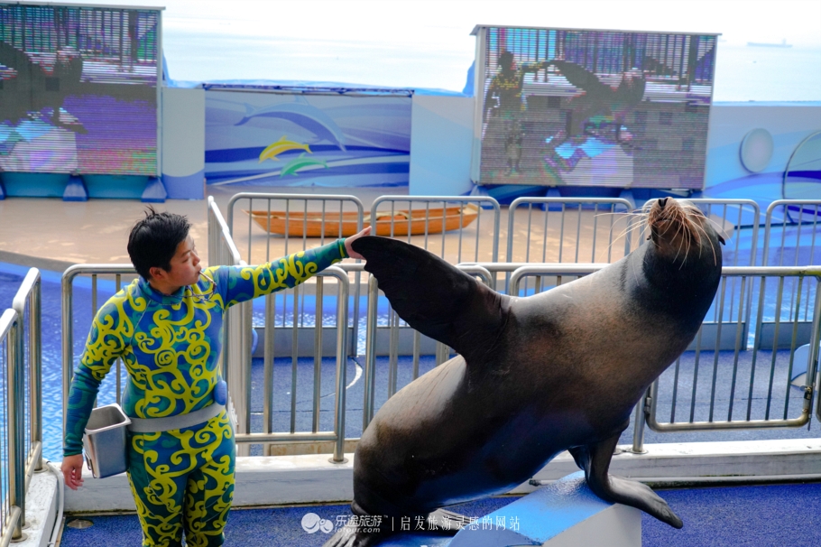 香港海洋公园简介,香港海洋公园历史故事
