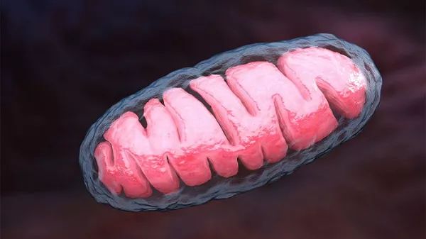 2018年18篇论文“挑战教科书”，你最惊奇的是？