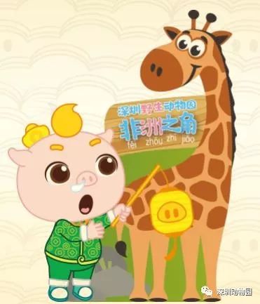 猪猪侠进入熊出没世界,猪猪侠限量金猪