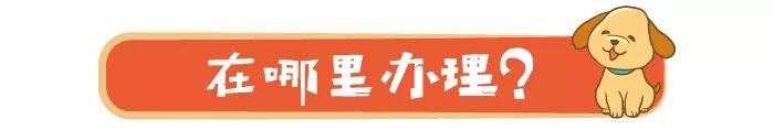 昆明养犬登记说明,昆明养犬证怎么办