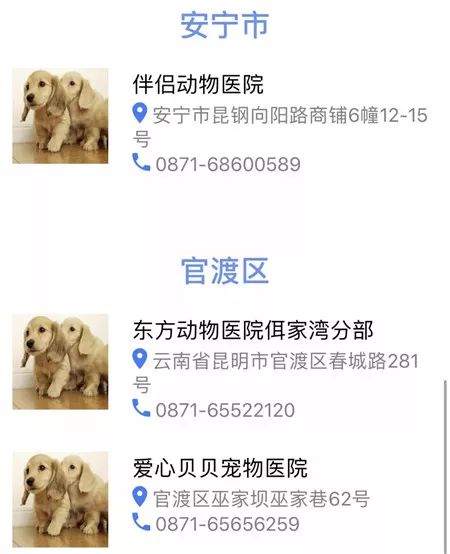 昆明养犬登记说明,昆明养犬证怎么办