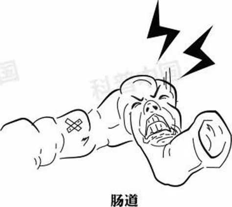 人一紧张就想尿是什么原因,一紧张就想拉大便怎么回事