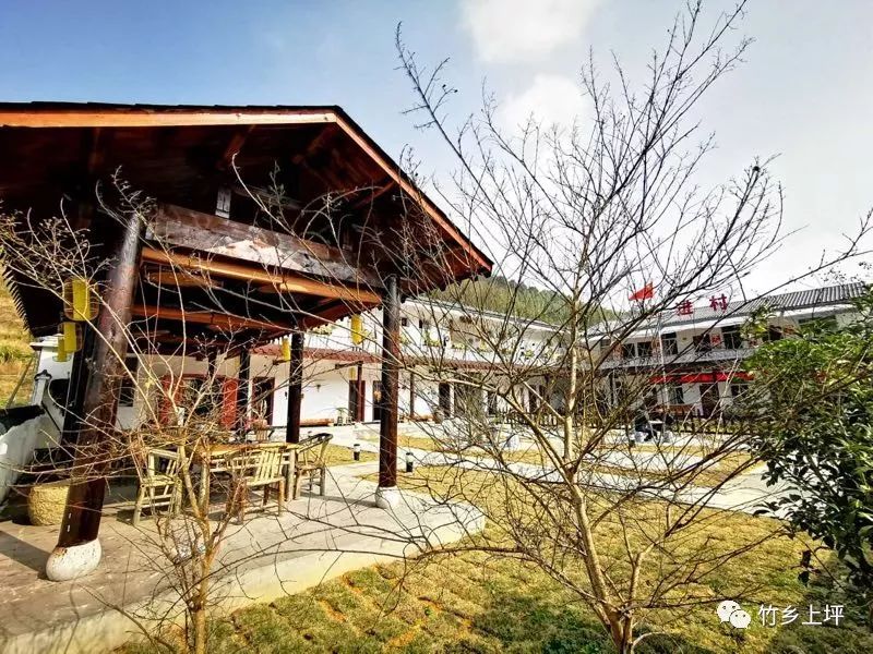 集装箱式民宿推荐,福建特色树屋民宿度假屋结构