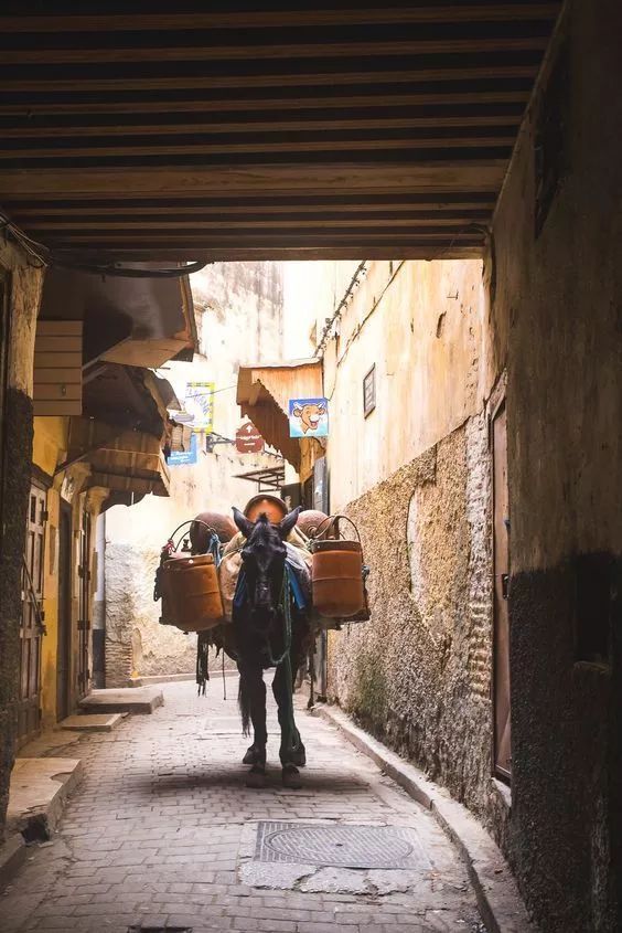 摩洛哥味道,摩洛哥味道好闻吗