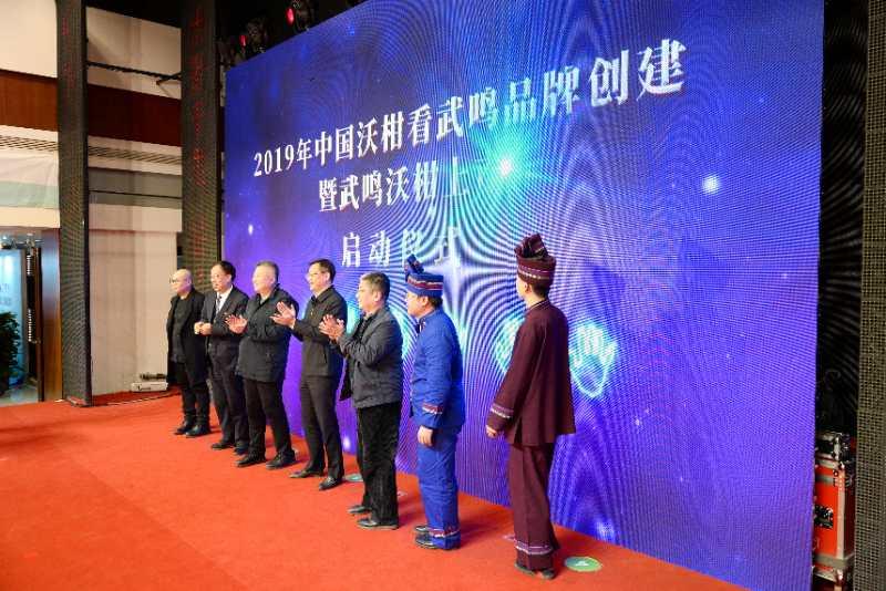 武鸣沃柑推广,武鸣2019年沃柑