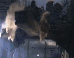 吴谨言被吓哭,皓镧传吴谨言被蝎子咬是哪一集