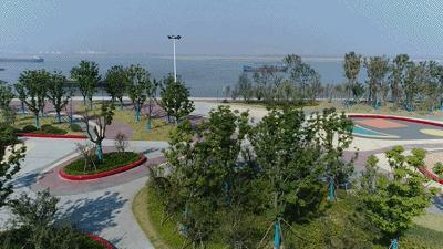 天呐！武汉这个区开挂了！反正我是羡慕了！