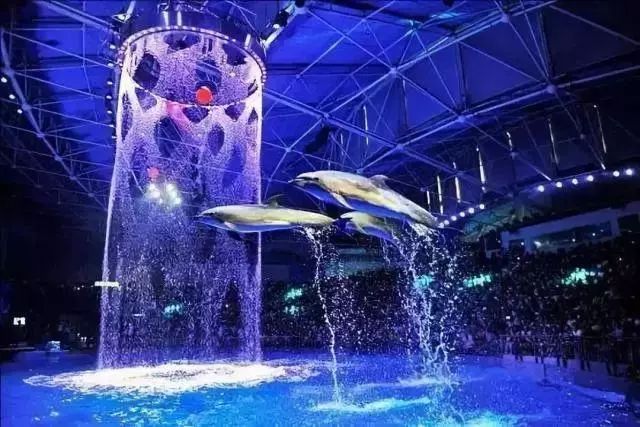 去看美人鱼咯，168元抢极地海洋世界一大一小超值套餐！