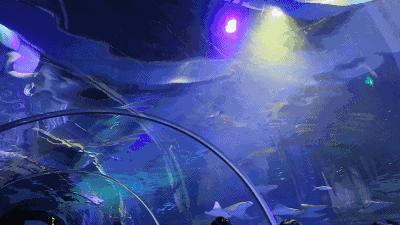 去看美人鱼咯，168元抢极地海洋世界一大一小超值套餐！