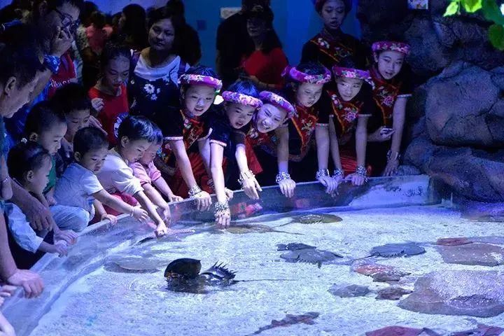 去看美人鱼咯，168元抢极地海洋世界一大一小超值套餐！