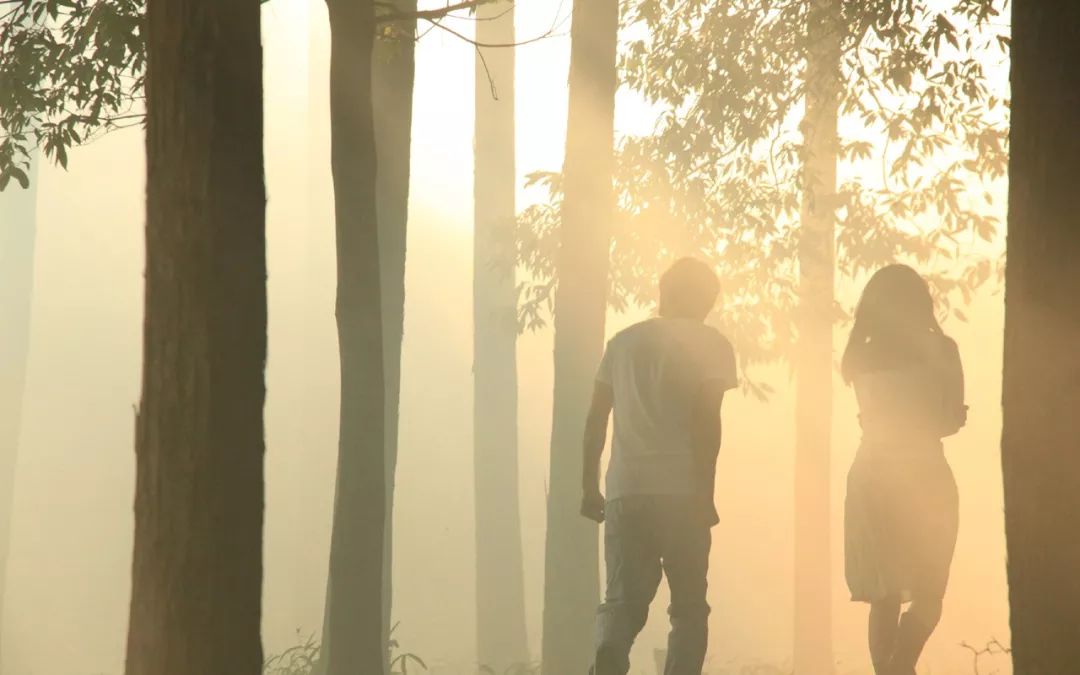 村上春树的未解之谜,村上春树未解之谜