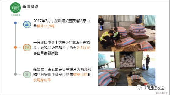 穿山甲列为二类保护动物,穿山甲国家禁止用的规定