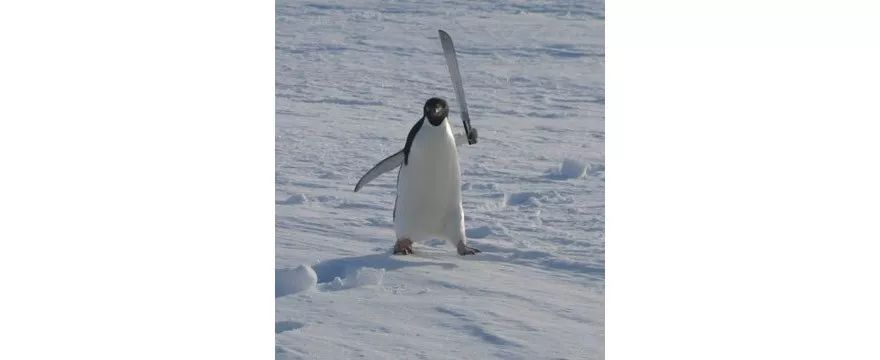 揭秘闲鱼月入过万的技巧,如何通过闲鱼挣钱