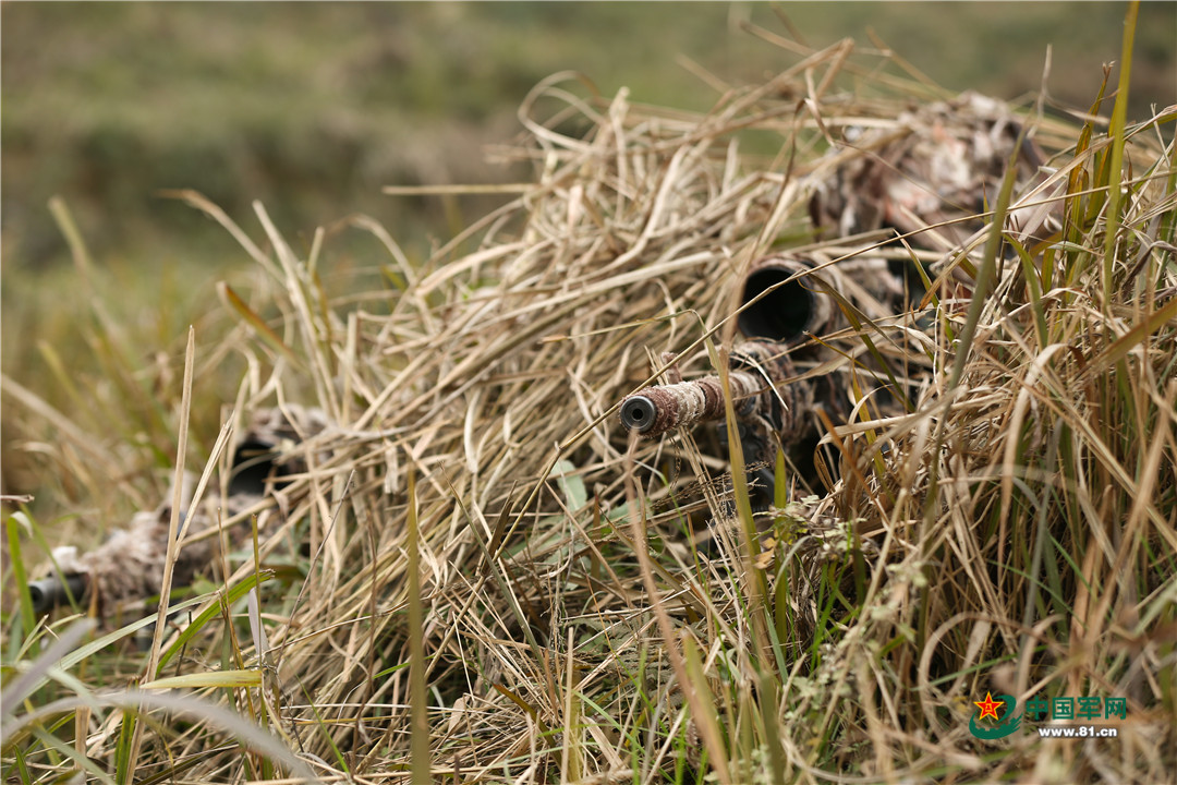 记者在战位老狙告诉你如何成为一名特等*击狙**手