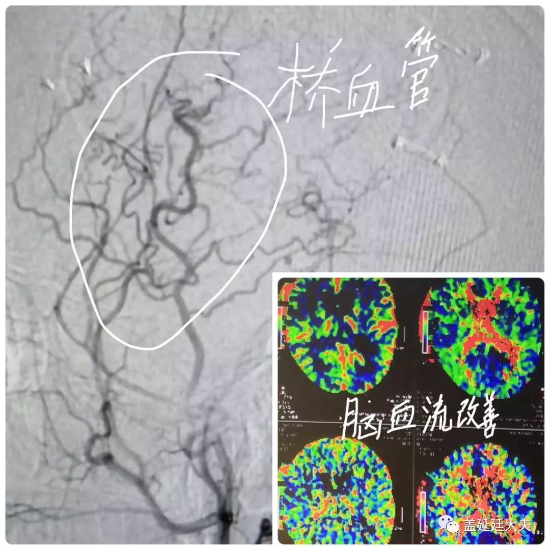 医路向前小说,医路向前完整版合集