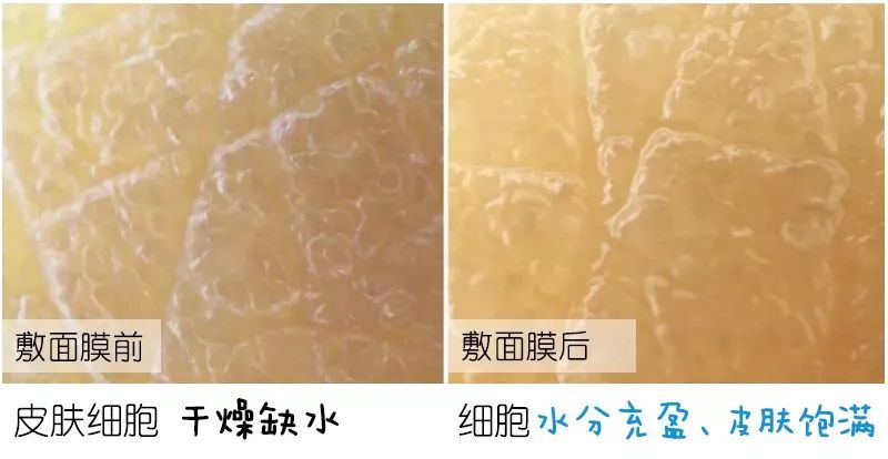 太撩了！日本大妈颜值比18岁少女还惊艳，神仙操作了解一下