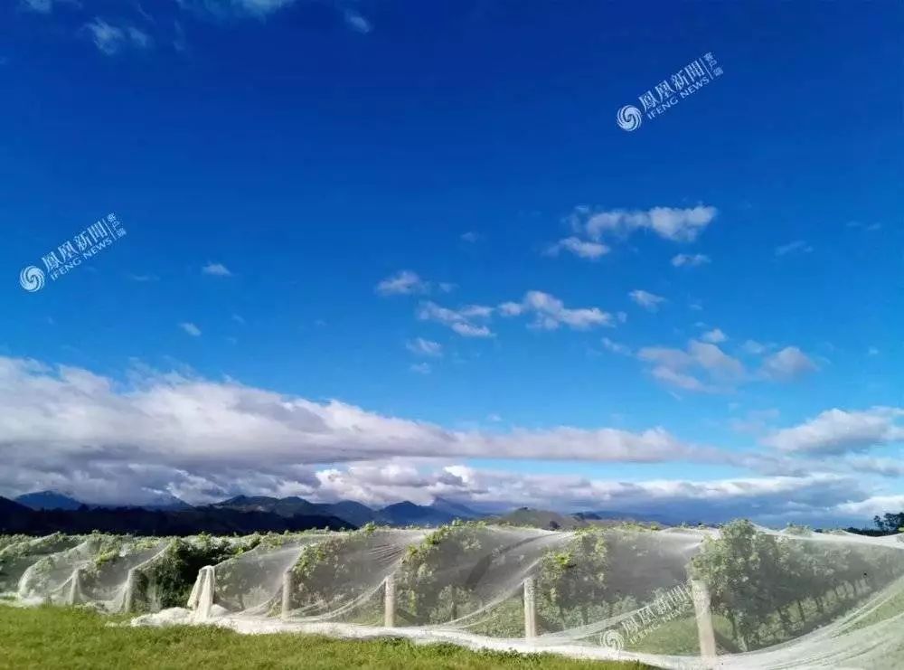 移民新西兰当工人,移民新西兰南部当农民