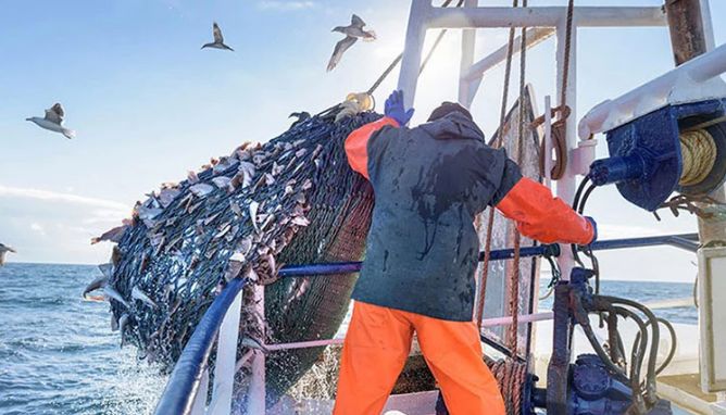 卖疯啦！海鲜大礼包，昌吉人年前都在买！乌昌免费送货！