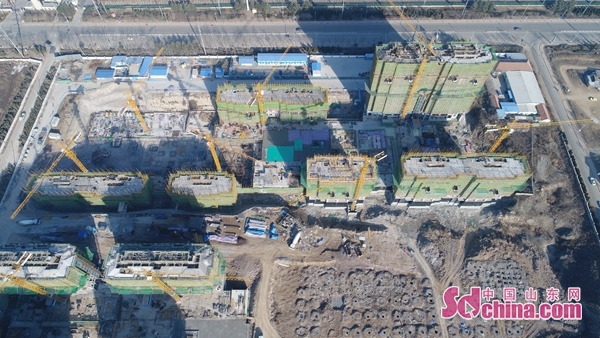 红岛东大洋安置社区规划图,红岛殷家安置区建设规划