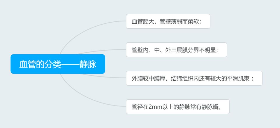 脑血管解剖与分段详解ppt,内科脑血管疾病思维导图