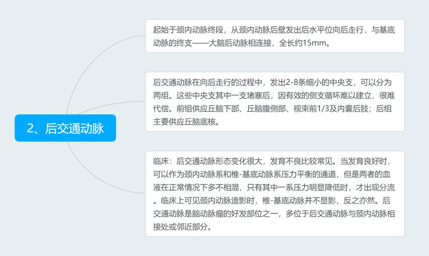 脑血管解剖与分段详解ppt,内科脑血管疾病思维导图