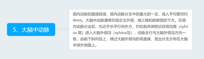 脑血管解剖与分段详解ppt,内科脑血管疾病思维导图