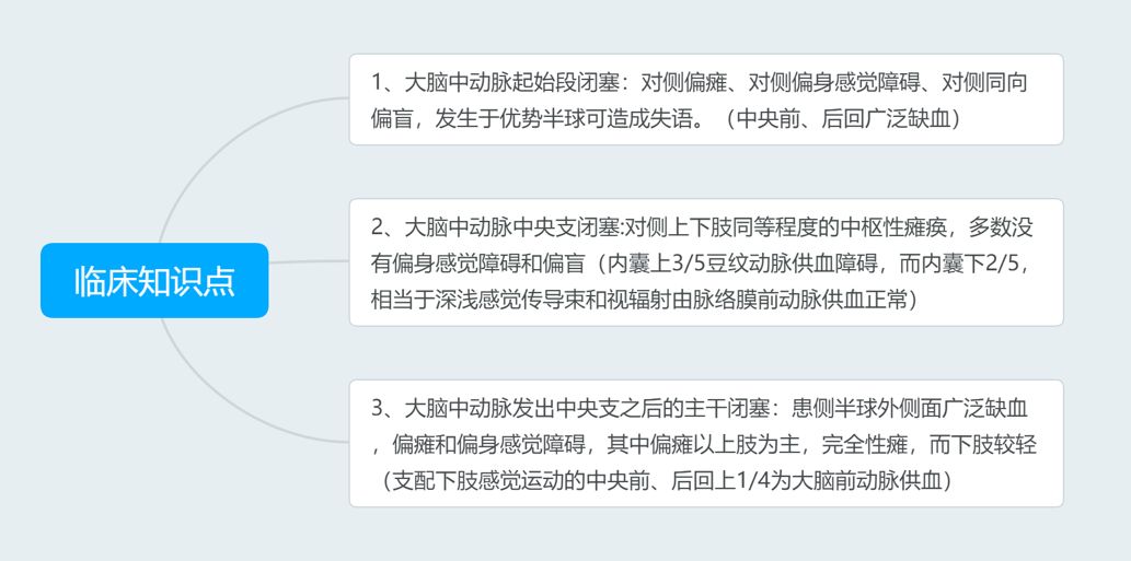 脑血管解剖与分段详解ppt,内科脑血管疾病思维导图