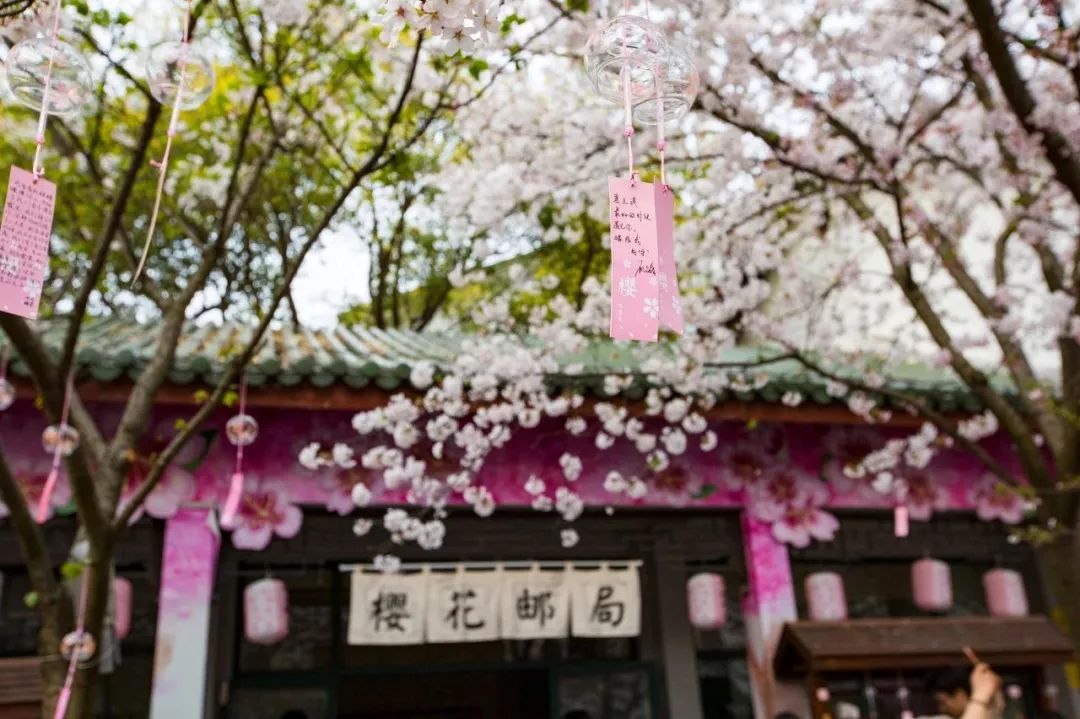 12月去哪里旅游机票最便宜又好玩,2021年三月份去厦门机票